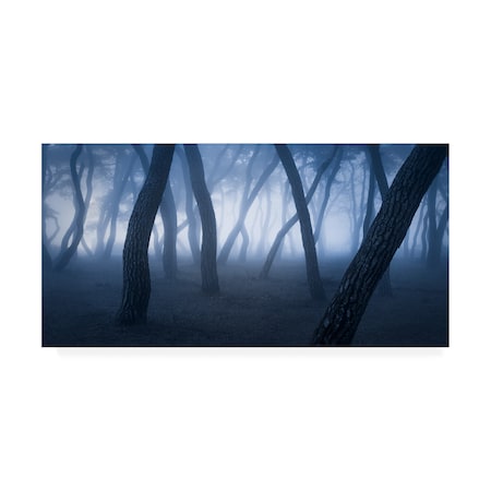 Nathaniel Merz 'Bewitching Hour' Canvas Art,12x24